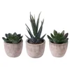 Decorative Flowers OUNONA 3pcs Faux Succulent Artificial Fake Simulation Plants With Pots