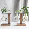 Vasi di vasi idroponici pianta contenitore Vaso prove di prova in vetro in pentole di fiori in legno