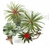 Grande pianta succulenta dell'ananas artificiale dell'aria artificiale Tillandsia Green Leaf Ho