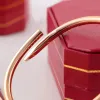 Nagelarmband Gold Armreifen Designer Schmuck Frau Rise Gold Silber Armbänder für Frauen Männer Armreifen Luxusschmuck Model Marke für Hochzeitsfeier Geschenk