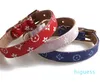 Colors Dog Collars Classic Print Designer Pet Leashes Indoor Outdoor Durable Collar Leash Set