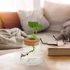 Vasen 2 PCs Öko -Flasche Lotus Blumendekor Hydrokroponik Vase Pflanzer Home Desktop Dekoration Holzglas Büro