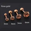 Étalon 1pc / lot taille 3/4/5/6 mm 4 couleurs punk médical en acier inoxydable en acier à aiguille en acier zircon cristal marques d'oreilles pour hommes pour les femmes D240426