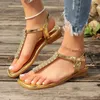 Casual Shoes 2024 Summer Women's Open Toe Rhinestones Thong Sandals Retro Square Heeled Flip-Flops for Women Outdoor Beach