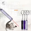 Ponteiros lideraram o Red Point Fancy Cat Funny Funny Laser Pen Cat provocando caneta a laser