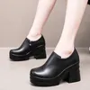 Dress Shoes Genuine Leather Deep Cut Single Woman Platform High Heels 2024 Winter Side Zipper Small Size Large 35-40