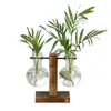 Vases Glass Vase Hydroponics Desktop Planter Plants Retro Solid Bulb Stand Wooden Home Decor Woven Flower Pot Net Bag