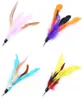 Color Multi Cat Toys Feather Plástico Wand Plástico Catstoi Diy Peças Cat Supplies 18cm 1 07tte13320399