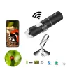 Nouveau microscope WiFi Electron Kid Prostoremer 1000x 2MEGAPIXELS 1000X BAGDIFICATION VIDÉO 8 LED LED LUMIÈRE MINI MINI CAME Endoscope 1.