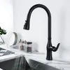 Kitchen Faucets Pull Out Faucet Black Stainless Steel Sink Cold Mixer Tap Double Water Setting