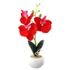 Decorative Flowers Artificial Orchid Bonsai Potted Simulation Phalaenopsis Home Office Balcony Garden Realistic For Outdoor Indoor