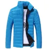 Piccola giacca di cotone per colletto in piedi Up Versione coreana Giacca di cotone color multicolori