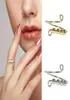 Perlenringspinner Single Spiral Ring Ring Perlen drehen ly Anti -Stress -Angst -Ringspielzeug für Mädchen Frauen8112175