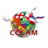 2024 stabilny CCCAM OSCAM Europe 8 linii do Polski Niemcy użycie do odbiornika telewizji satelitarnej DVB-S2 FRR65