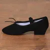 Scarpe da ballo balletto donna insegnante di allenamento teatrale di sola pannelli di yoga pancia pratica ragazze jazz ballo