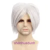 Silver Soul Cosplay Sakata Time Wig Halloween Short Mens Grey Synthetic