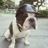 Regulowane kaski z odzieżą dla psów chłodne zabawne ABS Safety Pet Cap SML Plastikowe Proces Riding