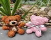 1pcsnaturalフレッシュモス永遠のbearartificial teddy保存されたDIYウェディングパーティーのための花