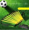 Fußball Sport Agility Ladder Football Verstellbarer Nylongurt Sprungleiter Speed Fitness Körperkoordination Warmup Trainingsinstrument