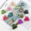 Hair Clips Barrettes Mini Acetic Acid Clip Crab Claw Colored Bracelet Horse Tail Braid Womens Girls