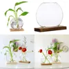 Vazen Mini Clear Hydroponic Plants Vaas Decoratieve plantenbak met houten standaard