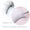 Eyelashes 50/100 Pairs False Eyelashes Handmade Training Practice Lashes Soft Natural For Beginners Eyelash Extension Beauty Salon Student