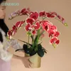 Fiori decorativi Phalaenopsis Orchid Flower Branch (7 fiori/stelo) 78 cm 3d Touch Office Decorazione della casa Centrotavola