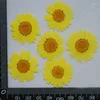 Decoratieve bloemen Wit Chrysanthemum Bulkverpakking 1000 stks DIY gedrukt voor woningdecoratie