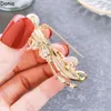 Броши Donia Jewelry Fashion Butterfly Titanium Steel Micro-инкрустация циркона серебряной иглы роскошная ретро-оболочка броши