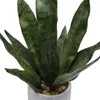 Dekorativa blommor Artificial Snake Plant Decor i gröna färg. Torra förlovningsdekorationsvaser för hem cottageecore dekora