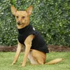 犬のアパレル犬のセキュリティシャツベストペット子犬ガードTシャツ犬猫夏の大型犬D240426