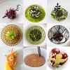 Kalıp Yaprak Daire Halkası Şeker Dantel Pad Ağaç Dalları Sebze Batı Gıda Dekorasyonu Moleküler Mutfak Pişirme Silikon Kalıp