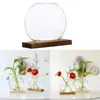 Vazen Mini Clear Hydroponic Plants Vaas Decoratieve plantenbak met houten standaard