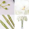 32 Artificial Butterfly Orchid Fake Phalaenopsis Flowers 6 PCS Artificial Orchid Stem Plants for Wedding Home Decoration 240415