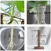 Vases Glass Vase Hydroponics Desktop Planter Plants Retro Solid Bulb Stand Wooden Home Decor Woven Flower Pot Net Bag