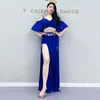 Stage Wear Woman Clothing Belly Dance Costume Set High Waist Split Long Skirt Practice Clothes Female Adult Oriental Dancing Performance