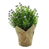 Kwiaty dekoracyjne Halowy sztuczny kwiat plastik Różne partie produkcyjne Nazwa produktu symulowana roślin doniczkowych Niewielkie odchylenia