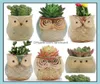 Plantadores Pots Garden Supplies Pátio Pátio Home Navio de Departamento de Cartoon Owl Pote de flores para sucentes plantas Cerâmica de flores pequeno MI4039555