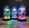 LED Enchanted Rose Light Silked Artificial Eternal Rose Flower in Glass Dome Lampe Decors Light Christmas Valentine Gift romantique C5710246