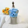 Hondenkleding kant boog gaasjurk kleine kleding zoet veter kleding kat mode kawaii blauw bloemen ontwerp schattig kostuum huisdierproducten