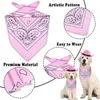 Hundkläder Pet Cowboy Hat Scarf Set Elastic Cord Stylish Western Costume Breattable Justerable For Dogs