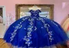 Prachtige koninklijke blauwe quinceanera -jurken kralen bloemen 3d flora puffy ball jurk avond prom dresess voor zoete 15 tieners jurk cors1535167
