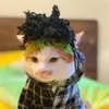 Ubrania psów punkowa śmieszna kota kapelusz bezwłosie sfinx akcesoria do dekoracji skalnej przeciągnij zapasy zwierząt domowych