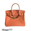 Sac Platinum Handsbag Outrich Designer Hands Sacs à la mode portable One épaule inclinée à la vache femme femme orange ziny authentique cuir