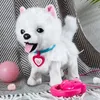 Electronic Plush Dog Robot Animal Toy Electric Sing Songs Cute Dog Walk Bark Music Puppy Leash Controled Pet Kids Birthday Gift 240420