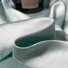 1pcs Tencel Silk Color Color Series Single Oreadcase de glace Ice Silk Satin abase confortable et respirante 240415