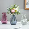 Vases Vases de fleurs en verre nordique Transparent Hydroponic Craft Living Room Arrangement Access