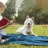 Collares de perros Estaca para el patio para estacas de tierra Tornillo de servicio pesado en la correa de metal espiral atada mascota