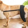 Appareil de chien Support de jambe Autonctionnelle Souchée de genou étouffe la hanche à articulation gâterie flexible pour les petits chiens moyens