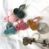 Dog Apparel 2024 Pet Hairpin Cartoon Plush Three-dimensional Hair Clip Children Cute Wool Side 20pcs/lot